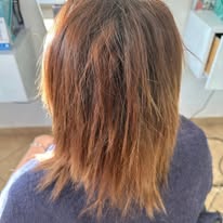 Extension — atelier Mandy's Extension Latina